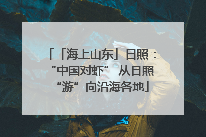 「海上山东」日照：“中国对虾” 从日照“游”向沿海各地